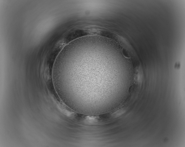 X0000112460573200908241302