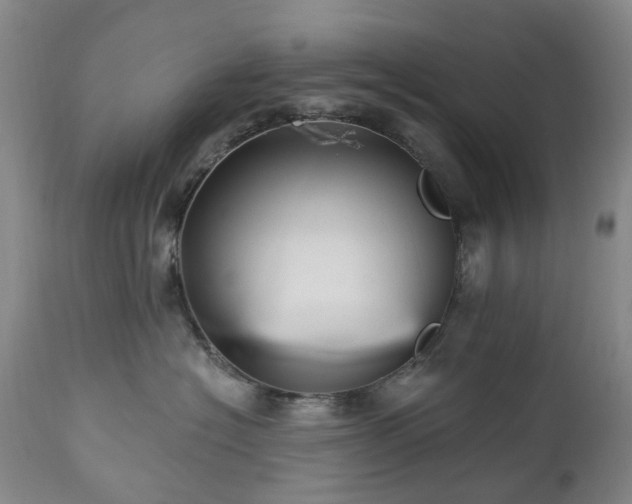 X0000112460574200908241302