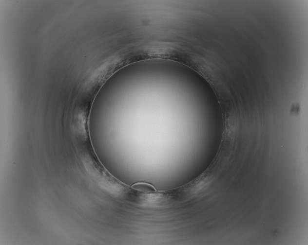 X0000112460575200908241302