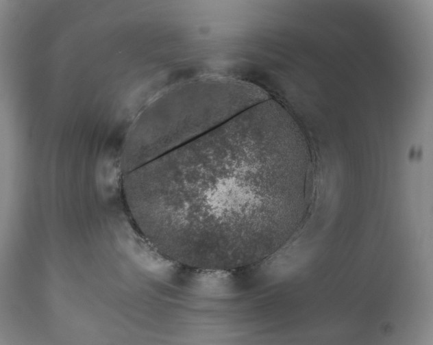 X0000112460576200908241302