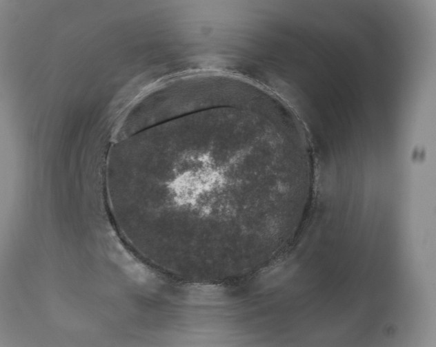 X0000112460577200908241301