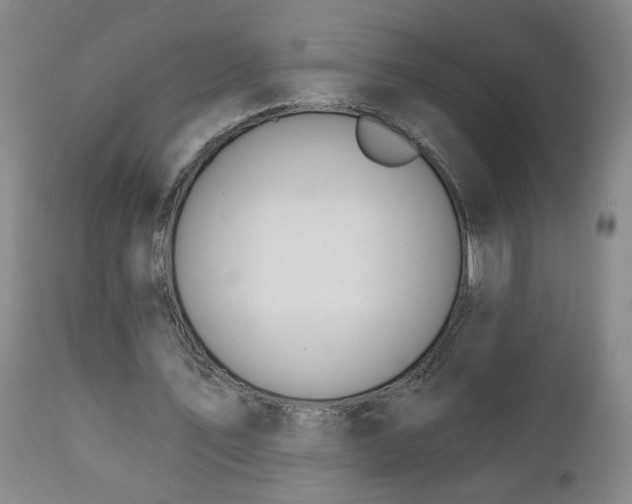 X0000112460579200908241301