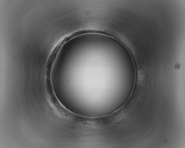 X0000112460580200908241301