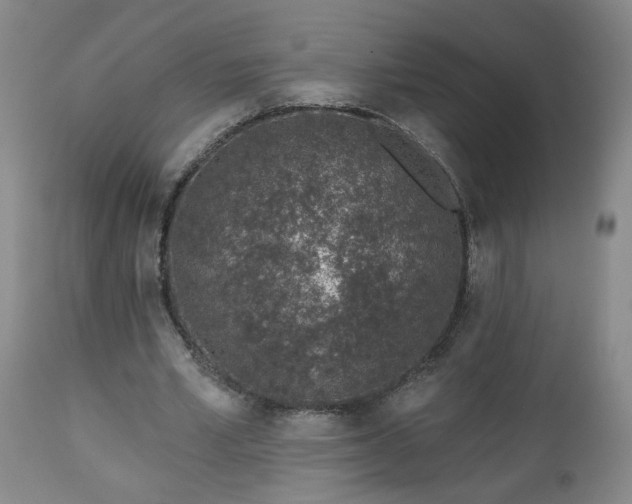 X0000112460581200908241301