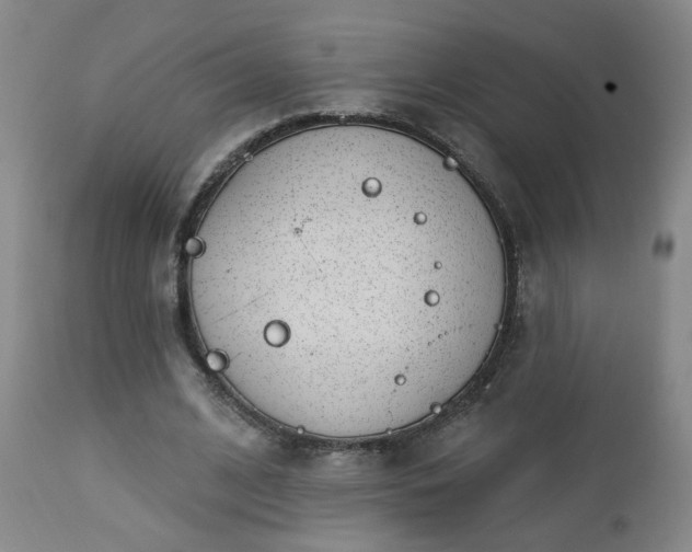 X0000112460584200908241301