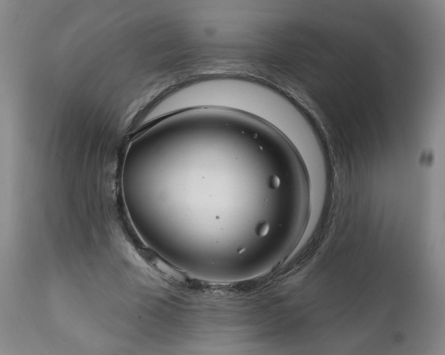 X0000112460585200908241301