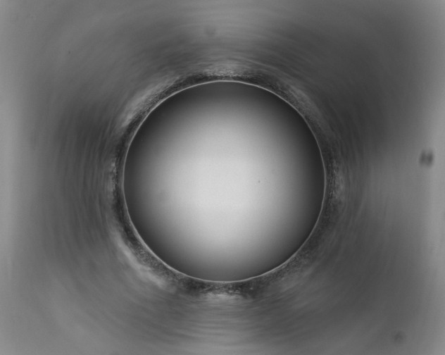 X0000112460586200908241301