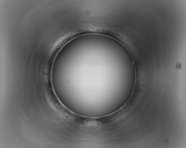 X0000112460587200908241301