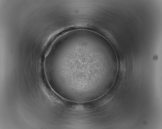 X0000112460588200908241301