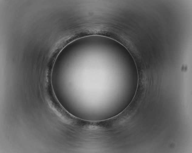 X0000112460590200908241301