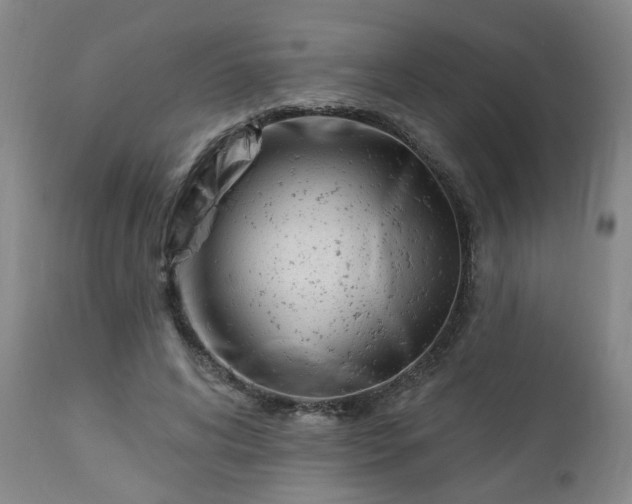 X0000112460592200908241301