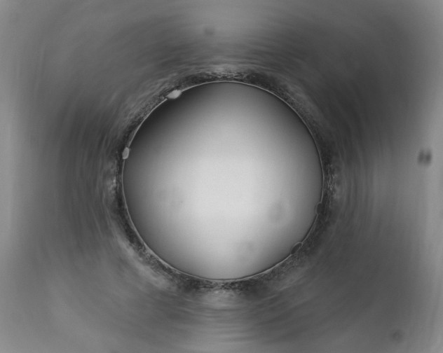 X0000112460593200908241301