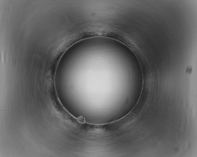 X0000112460594200908241301