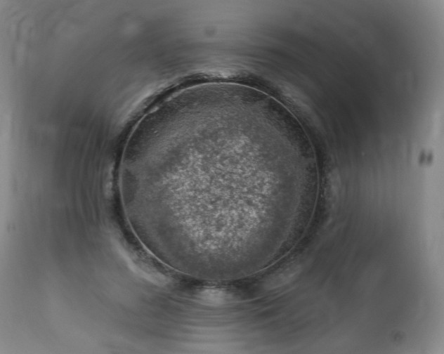 X0000112460596200908241301