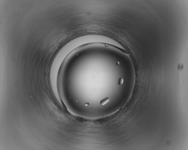 X0000112460597200908241301