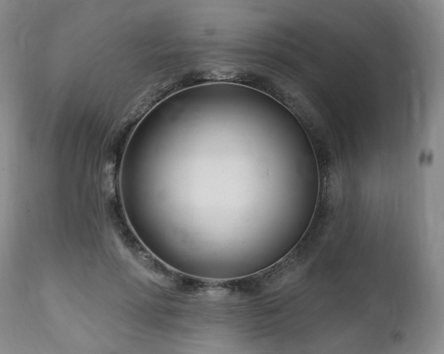 X0000112460598200908241301