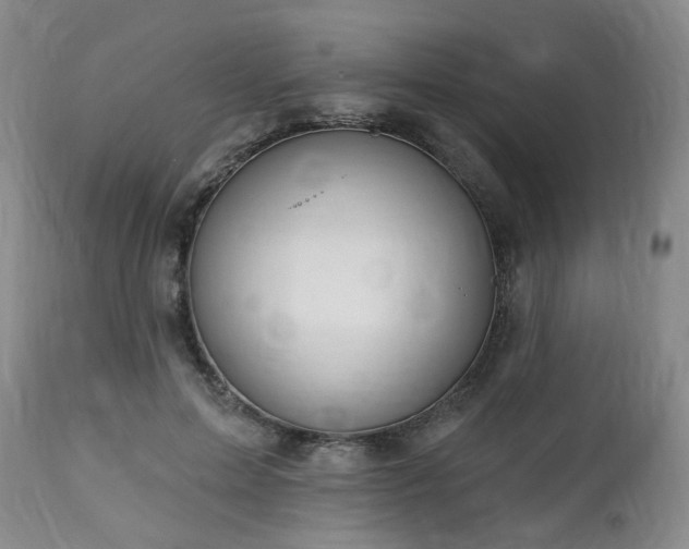 X0000112460599200908241300