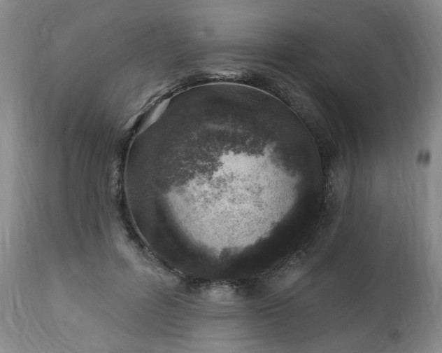 X0000112460600200908241300