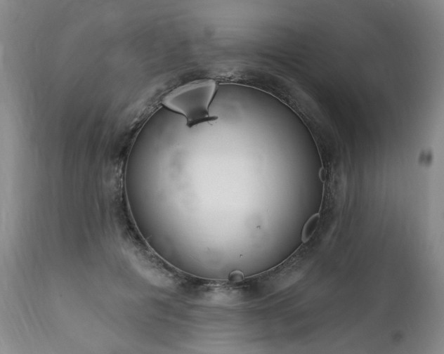 X0000112460601200908241300