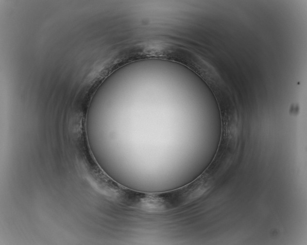 X0000112460603200908241300