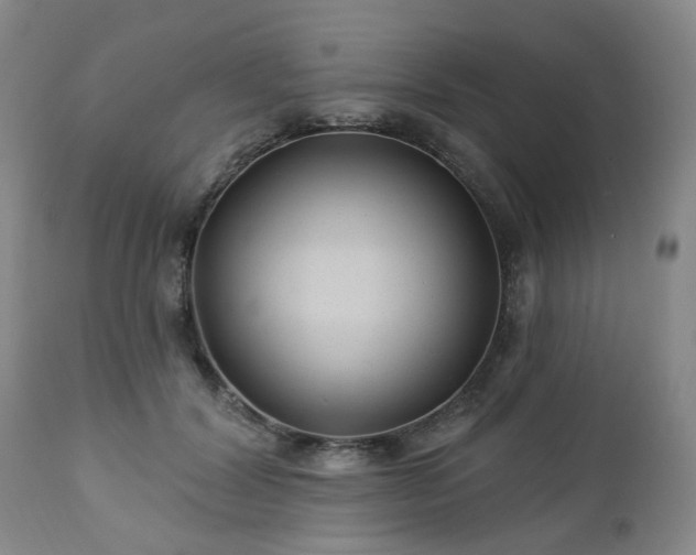 X0000112460604200908241300