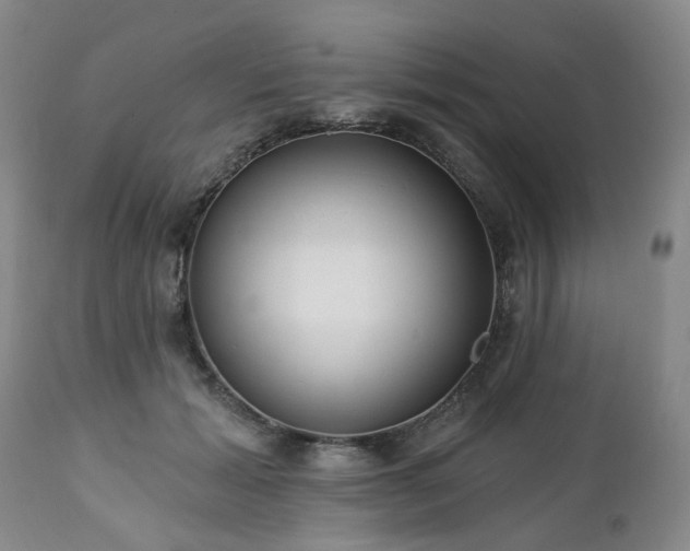 X0000112460605200908241300