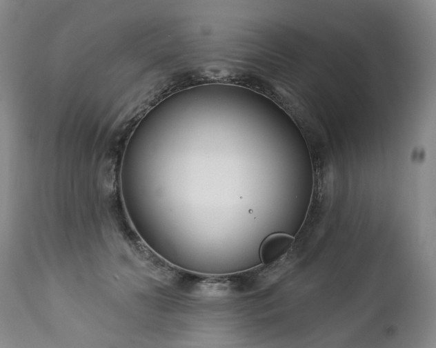 X0000112460606200908241300