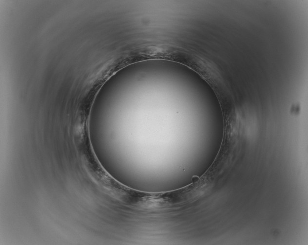 X0000112460607200908241300