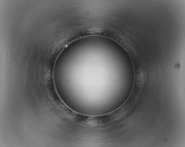 X0000112460608200908241300