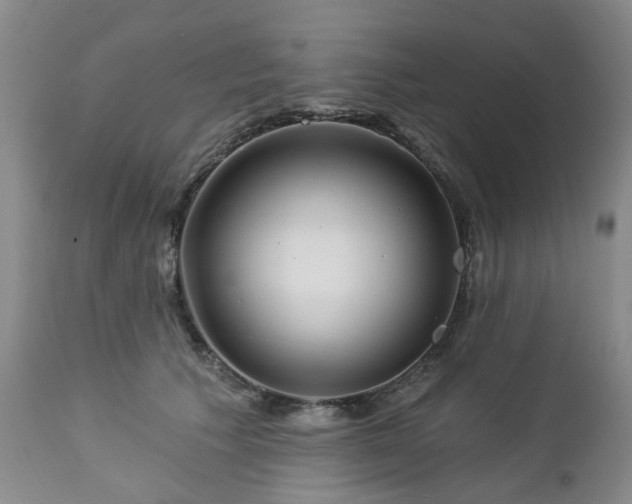 X0000112460609200908241300