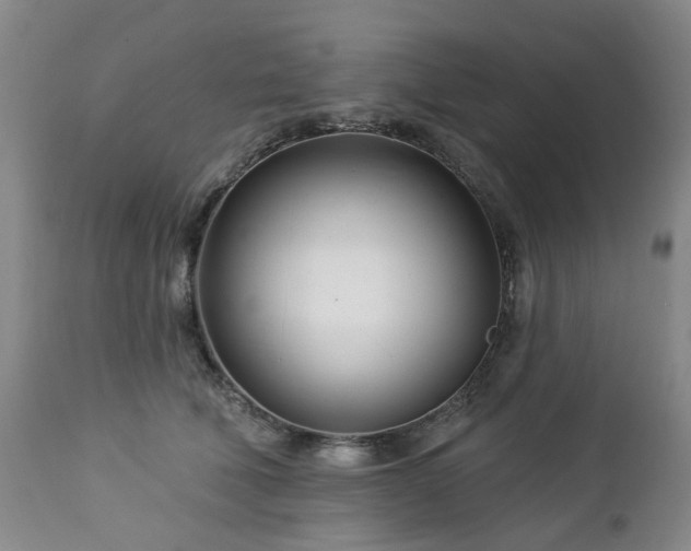 X0000112460610200908241300