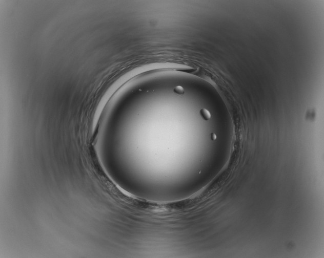 X0000112460611200908241300