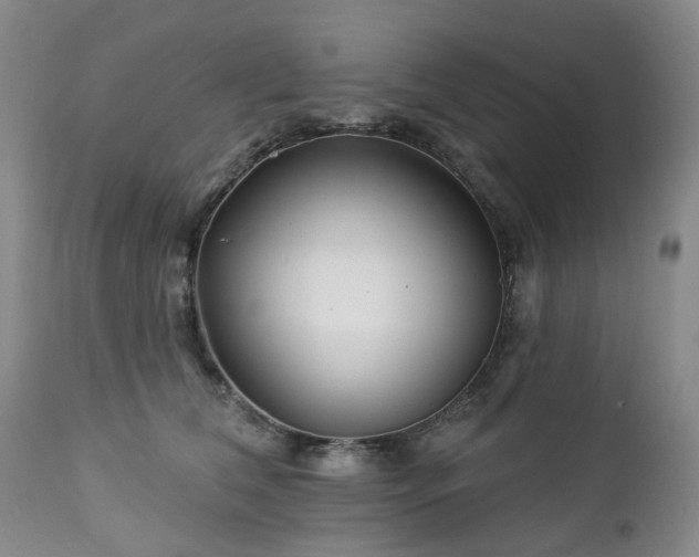 X0000112460612200908241300