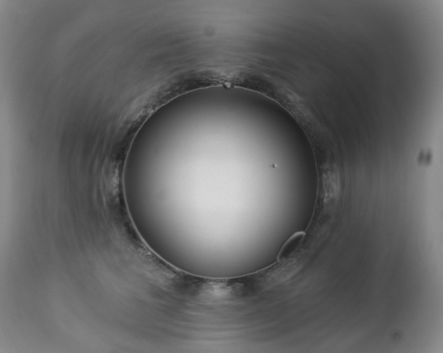 X0000112460613200908241300