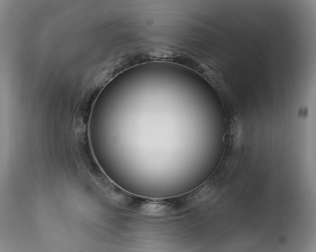 X0000112460614200908241300