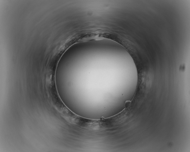 X0000112460615200908241300