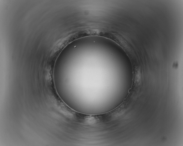 X0000112460616200908241300