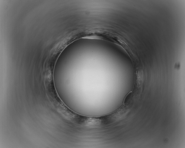 X0000112460617200908241300