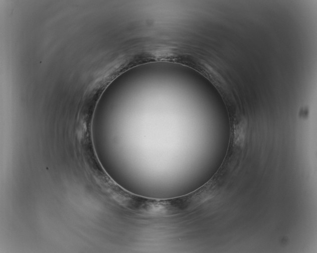 X0000112460618200908241300