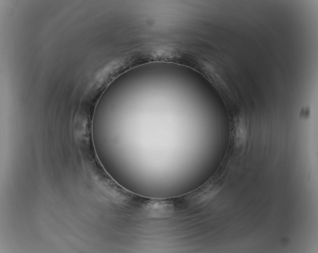 X0000112460619200908241300