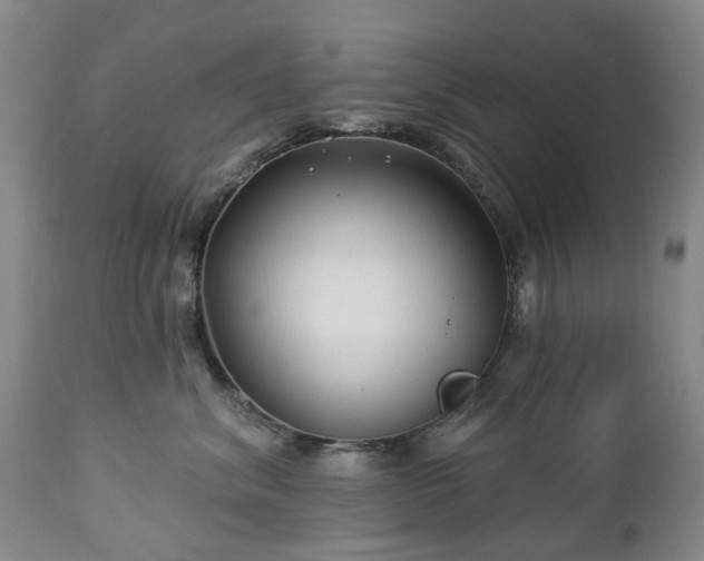 X0000112460620200908241300