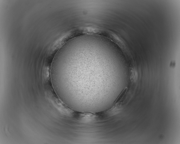 X0000112460621200908241300