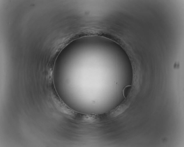 X0000112460624200908241300