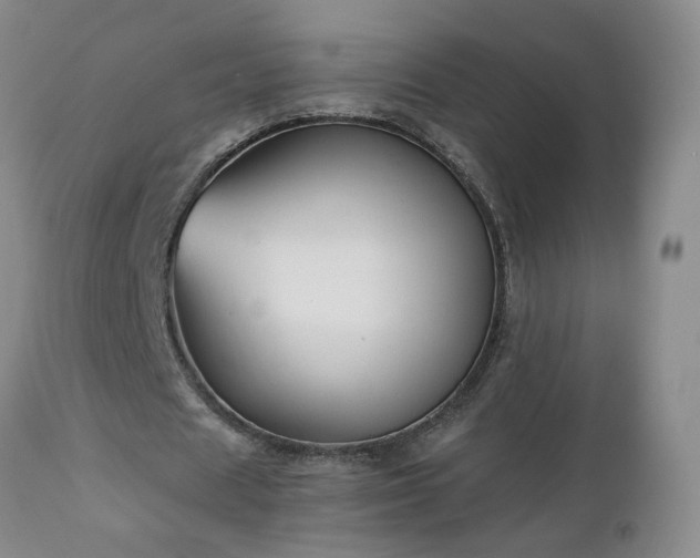 X0000112460625200908241259