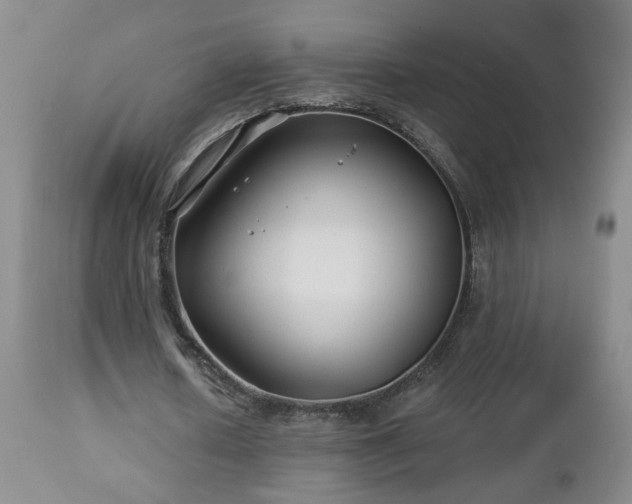 X0000112460626200908241259