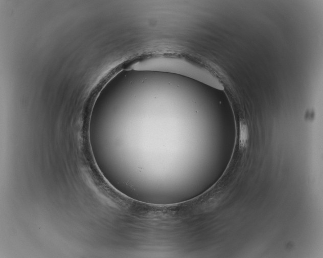 X0000112460627200908241259