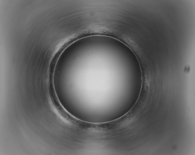 X0000112460630200908241259