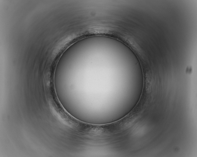 X0000112460631200908241259