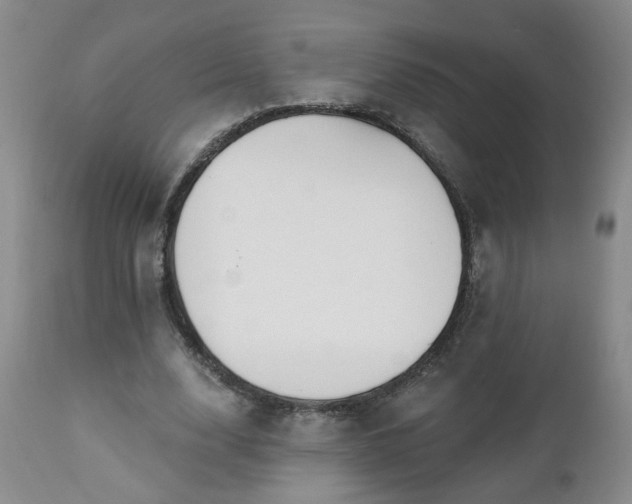 X0000112460632200908241259