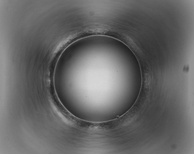 X0000112460634200908241259